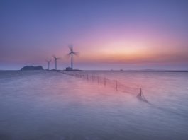 MEPs Call for Quick Deployment of Offshore Renewables to Meet EU Emission Targets