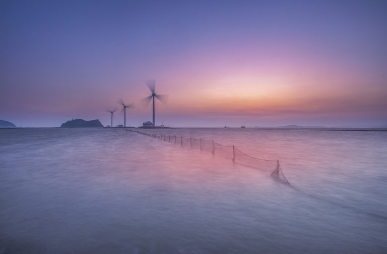MEPs Call for Quick Deployment of Offshore Renewables to Meet EU Emission Targets
