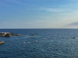 Trip to Indo-Pacific Allows Austin to Continue Outreach