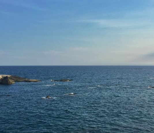 Environmental Degradation from China’s Artificial Island Building in South China Sea