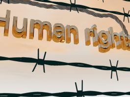 UN High Commissioner for Human Rights Condemns Execution of 81 People in Saudi Arabia