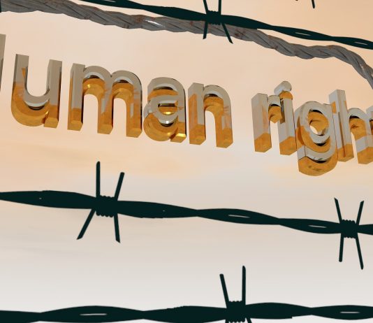 UN High Commissioner for Human Rights Condemns Execution of 81 People in Saudi Arabia