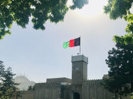 Is China in a Hurry to Recognize the Taliban Government in Afghanistan? Afghanistan