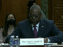 Austin Makes Case for Military Budget to Senate Committee