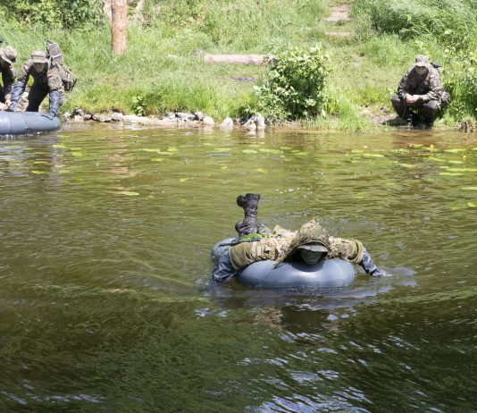 Russia’s Grand Strategy for Ukraine Takeover Unmet, Says DOD Official