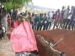 Washington Update – Massacre in the Oromia Region