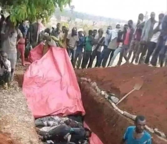Washington Update – Massacre in the Oromia Region