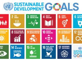 UN Expert: Sustainable Development Programs Characterized by Shallow Commitment to Racial Justice and Equality