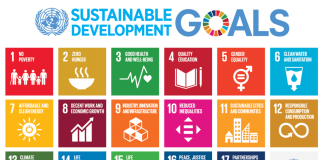 UN Expert: Sustainable Development Programs Characterized by Shallow Commitment to Racial Justice and Equality