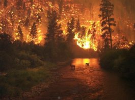 DOD Office Focuses on Effects of Climate Change on Department