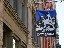 Why Patagonia’s Purpose-Driven Business Model Is Unlikely to Spread
