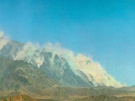 The Unrelenting Thorn In the US’ Side: Pakistan’s Nuclear Armaments