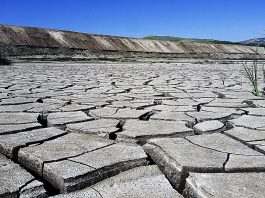 COP27 Focuses On Climate Financing For Developing Nations