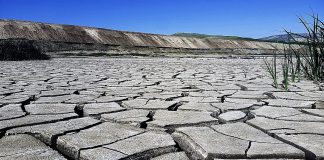 COP27 Focuses On Climate Financing For Developing Nations