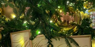 The First Lady unveils the White House Holiday Theme: We the People