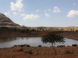 Washington Update: The Illusion of Peace