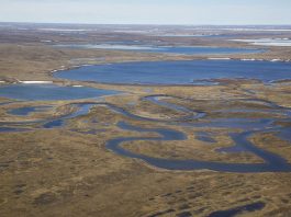 Biden Approves $8B Oil Extraction Plan in Ecologically Sensitive Alaska