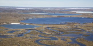 Biden Approves $8B Oil Extraction Plan in Ecologically Sensitive Alaska