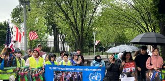 Afghanistan: the Hazara Perspective