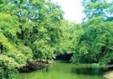 More than Meets the Eye: Chinese Engagement in Sri Lankan Hydropower Project