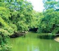 More than Meets the Eye: Chinese Engagement in Sri Lankan Hydropower Project