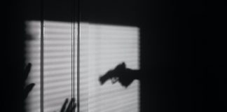 The Gun Issue Has All the Tyranny of Perceived Reality