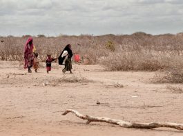 Climate Change in Africa Real Economic, Security Threat