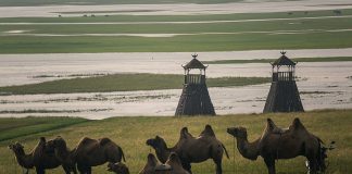 How China Colonized Southern Mongolia