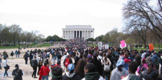 When the Tail Wags the Dog, Bad Things Happen