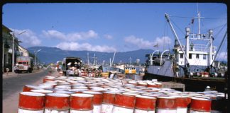 OPEC Forecasts Rising Demand Despite Predicted Fossil Fuel Peak