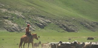 Herders Protest Land Grab, Land-Grabbers Bulldozed Through the Protesters