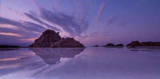 Washington update: Conference and Briefing on the Crisis in Ethiopia