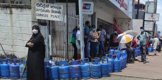 Contrasting Economic Responses: Lessons from Pakistan and Sri Lanka’s 2022 Crises