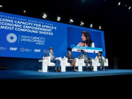 Cautious Welcome: World Bank and IMF Return to Africa, but Questions Remain