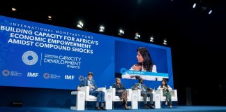 Cautious Welcome: World Bank and IMF Return to Africa, but Questions Remain