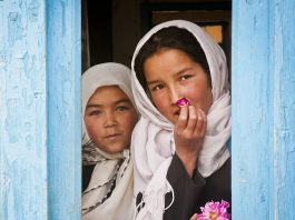 The Hazara Community in Afghanistan: Resilience and Challenges