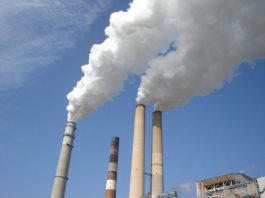 70% Chance of Emissions Reduction in 2024 Marks ‘Crucial Inflection Point’, Analysts Say