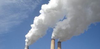 70% Chance of Emissions Reduction in 2024 Marks ‘Crucial Inflection Point’, Analysts Say