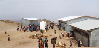 Washington Update: 372 Ethiopians Have Died Due to Hunger in the Last Six Months