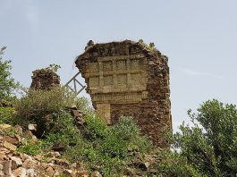 Washington Update: Ethiopia’s Deepening Humanitarian Crisis—A Call for Congressional Action and a 50-State Advocacy Strategy