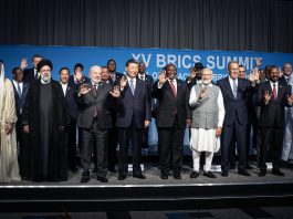 BRICS’ Type of Multipolarity is Not a Solution for the Global South