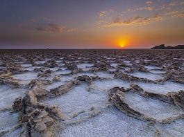 Washington Update: Ethiopia on the Brink