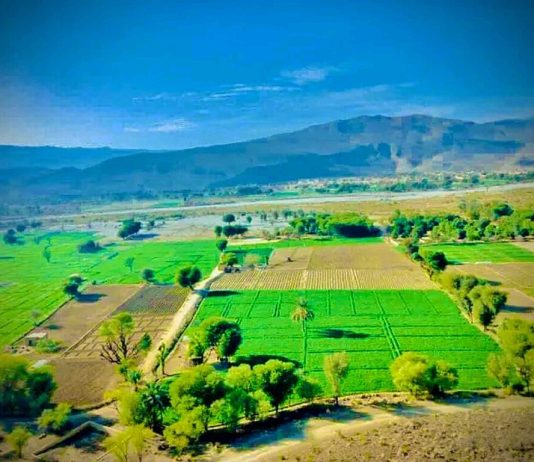 State-Sponsored Violence & the Violation of Dignity in Balochistan