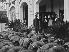 Kowtow Culture: How Power and Intimidation Shape Our Divided Nation