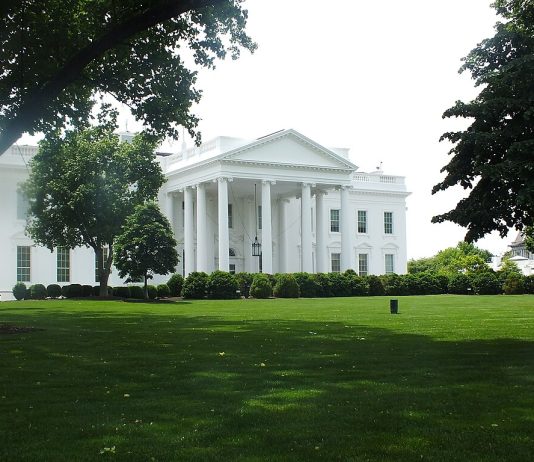 Trump’s Second-Term Cabinet: Loyalty, Controversy, and the Battle for Confirmation