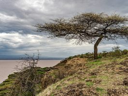 Washington Update: Attacks on religious freedom in Ethiopia