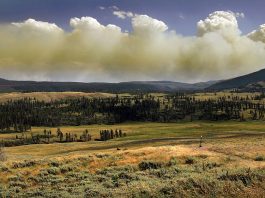 ‘Serious Omission’ in G7 Wildfire Charter Leaves Climate Change Unnamed