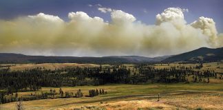 ‘Serious Omission’ in G7 Wildfire Charter Leaves Climate Change Unnamed