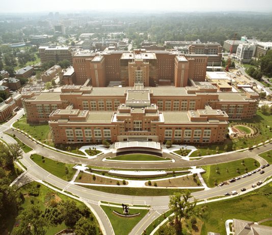 Farewell to the U.S. as the World’s Top Science Nation