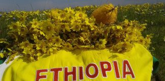 Washington Update: Media Advisory